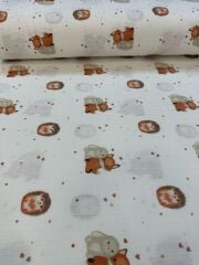 Erkek Bebek Hediye Seti - Boho Tilki